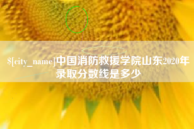 唐山中国消防救援学院山东2020年录取分数线是多少