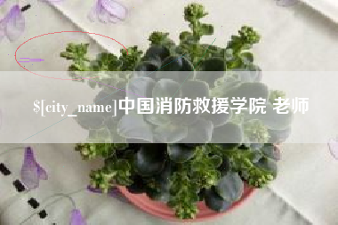 唐山中国消防救援学院 老师
