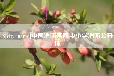 唐山中国消防官网中小学消防公开课