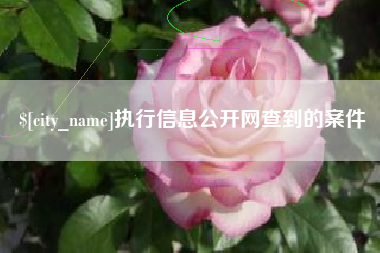 唐山执行信息公开网查到的案件