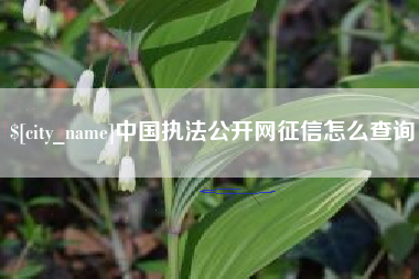 唐山中国执法公开网征信怎么查询