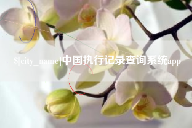 唐山中国执行记录查询系统app