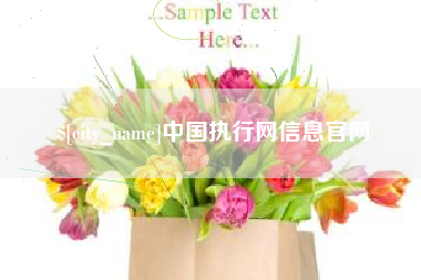 唐山中国执行网信息官网