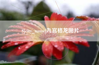 唐山九宫格龙图片