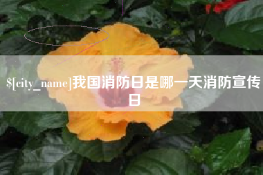 唐山我国消防日是哪一天消防宣传日