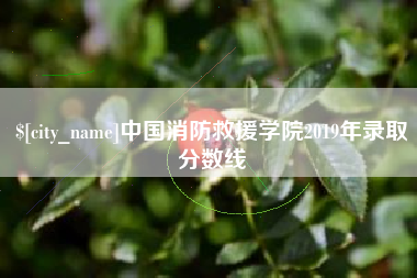 唐山中国消防救援学院2019年录取分数线
