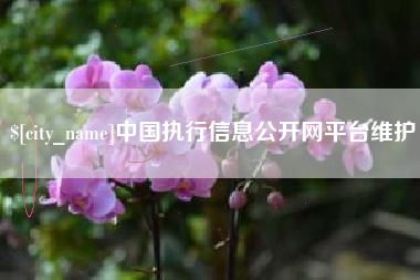 唐山中国执行信息公开网平台维护
