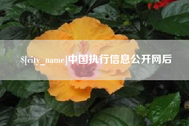 唐山中国执行信息公开网后