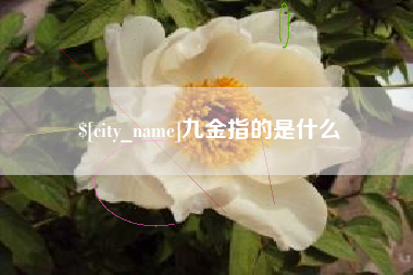 唐山九金指的是什么