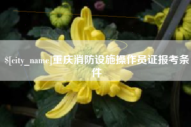 唐山重庆消防设施操作员证报考条件