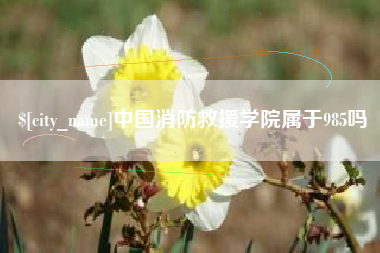 唐山中国消防救援学院属于985吗