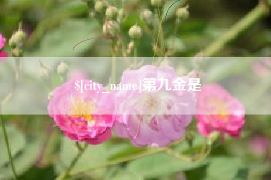 唐山第九金是