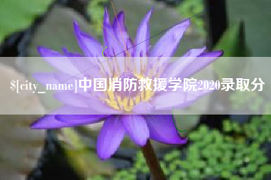 唐山中国消防救援学院2020录取分