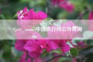 唐山中国执行网公开查询