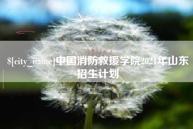唐山中国消防救援学院2021年山东招生计划