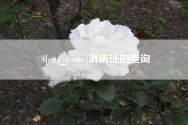 唐山消防证的查询