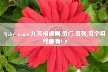 唐山九宫格规则,每行,每列,每个粗线都有1-9