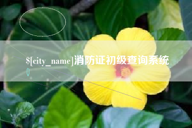 唐山消防证初级查询系统