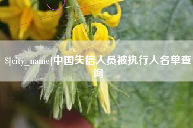 唐山中国失信人员被执行人名单查询