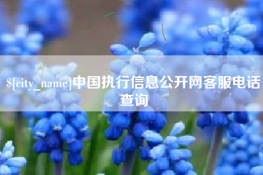 唐山中国执行信息公开网客服电话查询