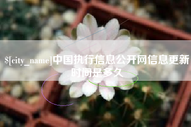 唐山中国执行信息公开网信息更新时间是多久