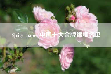 唐山中国十大金牌律师名单