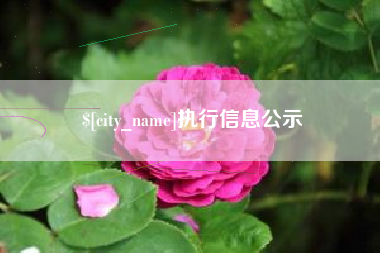 唐山执行信息公示