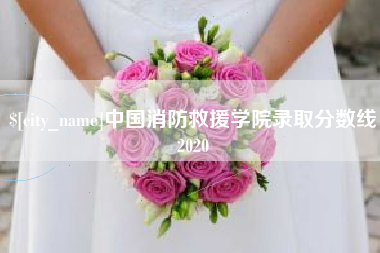 唐山中国消防救援学院录取分数线2020