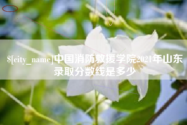 唐山中国消防救援学院2021年山东录取分数线是多少