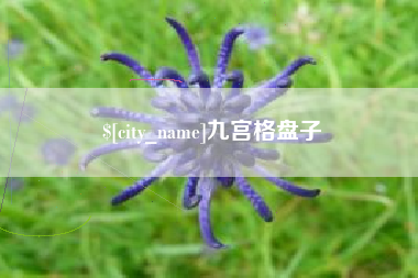 唐山九宫格盘子