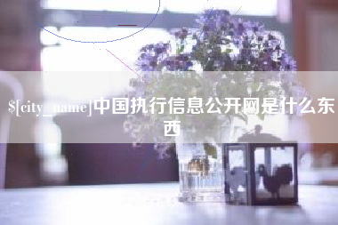 唐山中国执行信息公开网是什么东西
