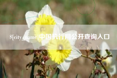 唐山中国执行网公开查询入口