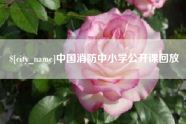 唐山中国消防中小学公开课回放