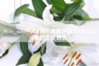唐山中国消防救援学院2020年在山东招生计划表