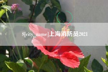 唐山上海消防员2021