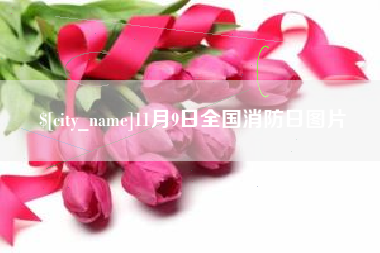 唐山11月9日全国消防日图片
