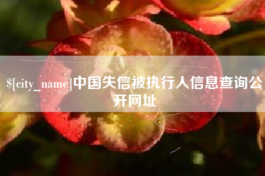 唐山中国失信被执行人信息查询公开网址