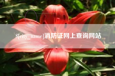唐山消防证网上查询网站