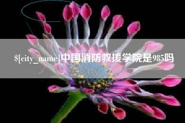 唐山中国消防救援学院是985吗