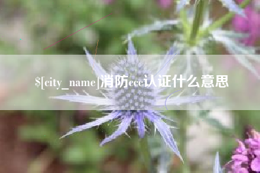 唐山消防ccc认证什么意思