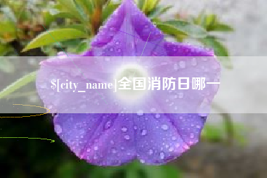 唐山全国消防日哪一