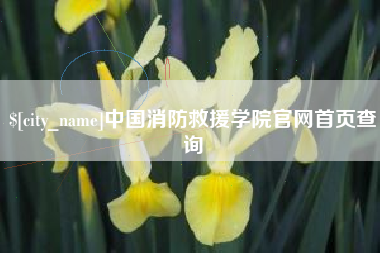 唐山中国消防救援学院官网首页查询
