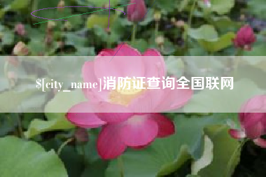 唐山消防证查询全国联网