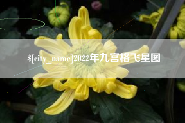 唐山2022年九宫格飞星图