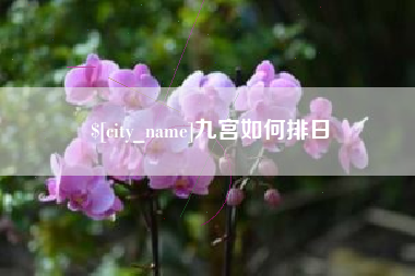 唐山九宫如何排日