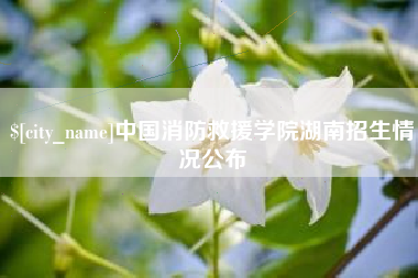 唐山中国消防救援学院湖南招生情况公布