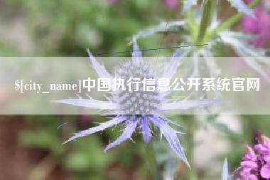 唐山中国执行信息公开系统官网