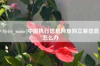 唐山中国执行信息网查到立案信息怎么办