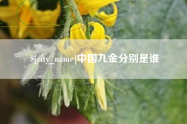 唐山中国九金分别是谁