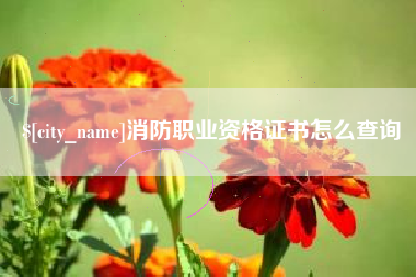 唐山消防职业资格证书怎么查询